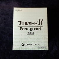 フェルガードＢ-min